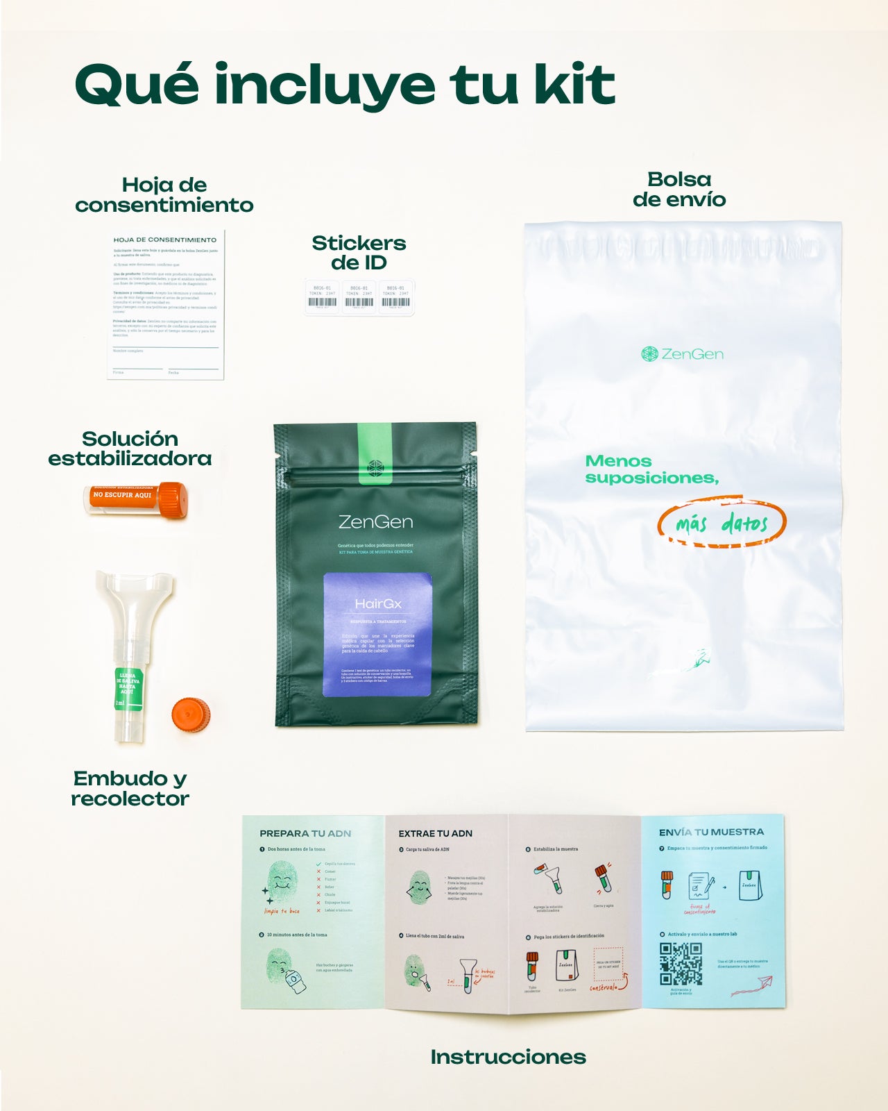 HairGx - Test de Alopecia y Tratamiento Capilar